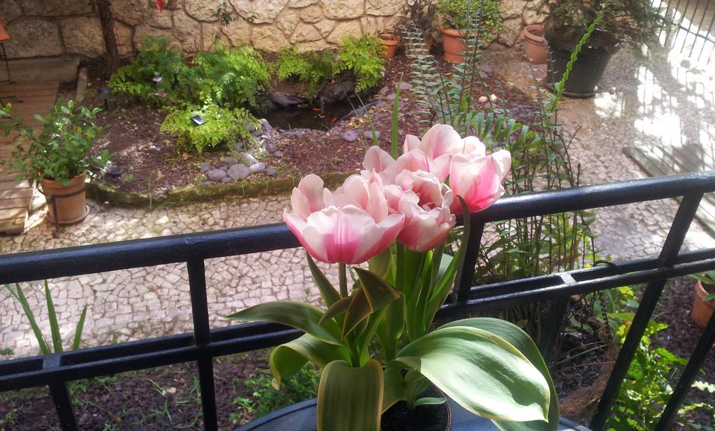 Whatever Art B&B Lisbona Esterno foto